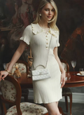 Chic Collar Mini Dress-dresses > mini dress-Laventaire-Laventaire