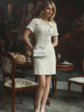 Chic Collar Mini Dress-dresses > mini dress-Laventaire-Laventaire
