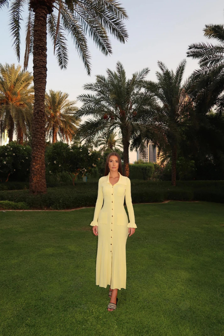 Long Sleeve Collar Midi Dress-dresses > midi dress-Laventaire-Laventaire